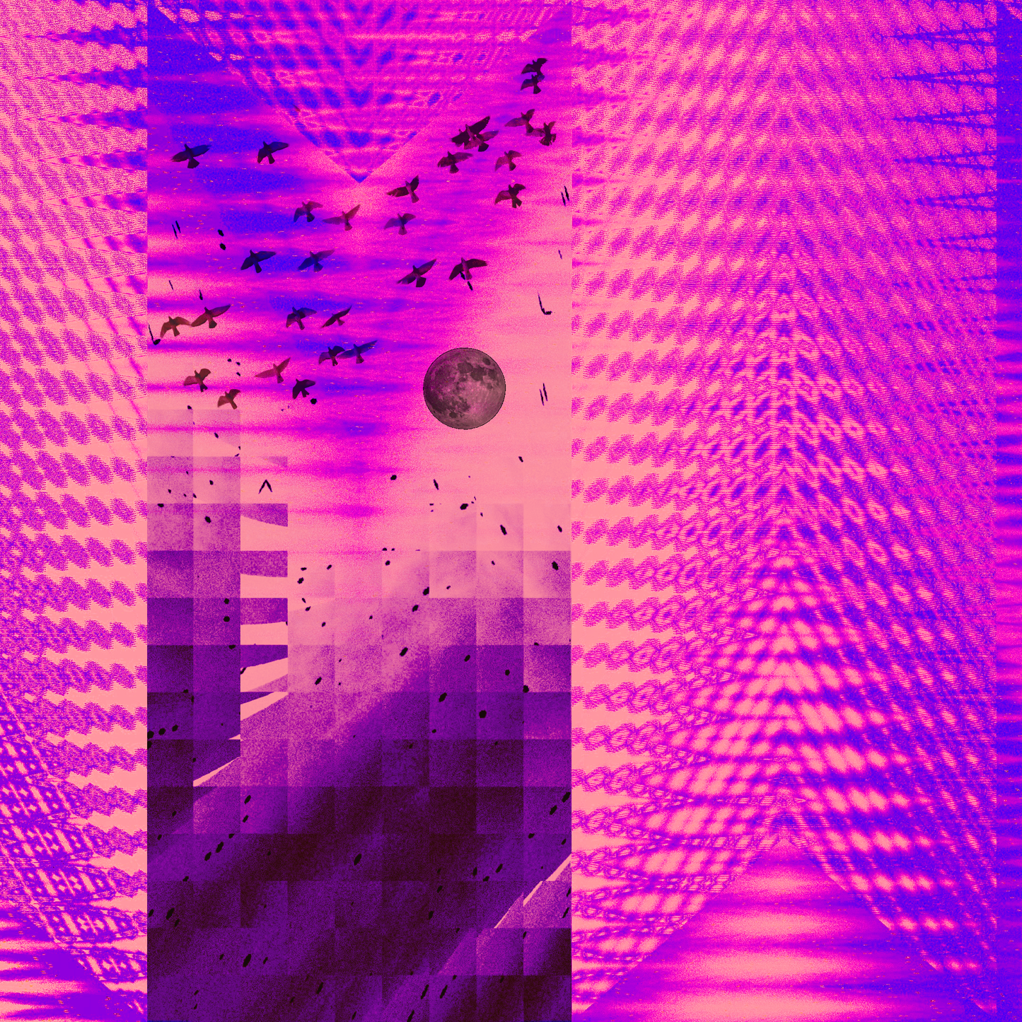 “eight” canvas print